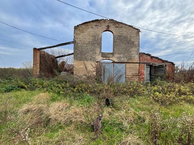 Rustico / Casale in vendita a Montopoli in Val d'Arno PI
