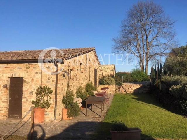 Rustico / Casale in vendita a Montalcino SI