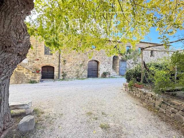 Rustico / Casale in vendita a Montalcino SI