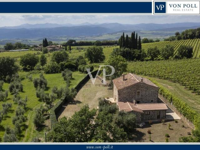 Rustico / Casale in vendita a Montalcino SI