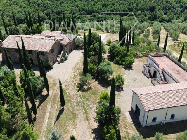 Rustico / Casale in vendita a Montalcino SI