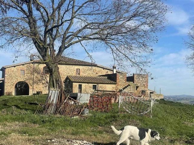 Rustico / Casale in vendita a Montalcino SI