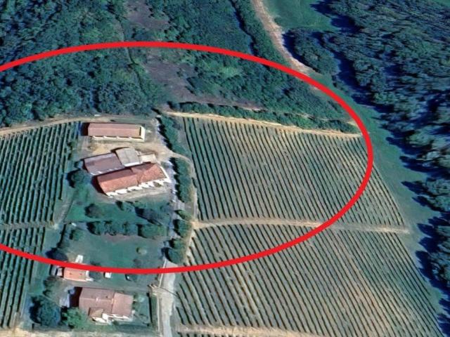 Rustico / Casale in vendita a Montaldo Bormida AL