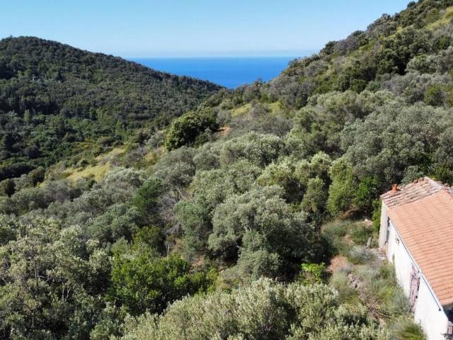 Rustico / Casale in vendita a Monte Argentario GR