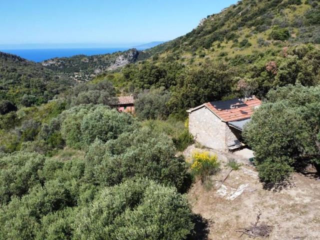 Rustico / Casale in vendita a Monte Argentario GR