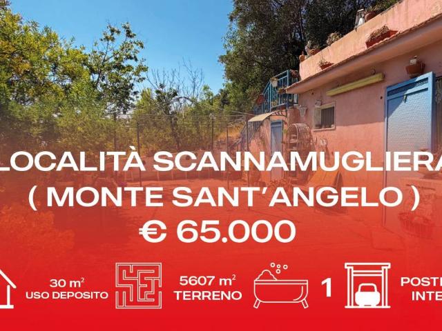 Rustico / Casale in vendita a Monte Sant'Angelo FG