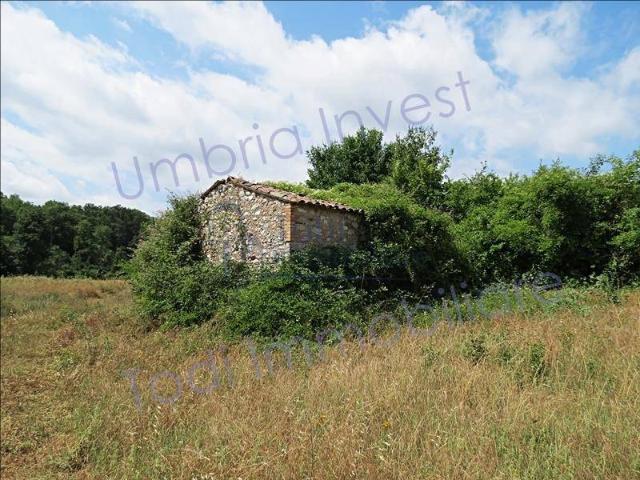 Rustico / Casale in vendita a Montecchio TR