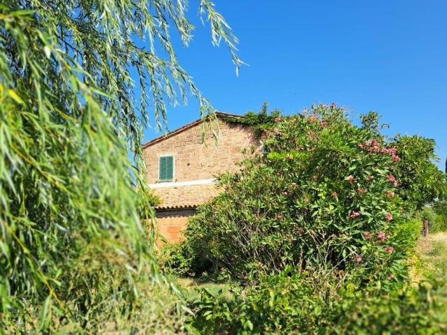 Rustico / Casale in vendita a Montecastrilli TR