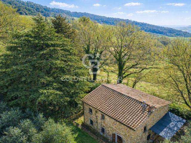 Rustico / Casale in vendita a Montecatini Val di Cecina PI