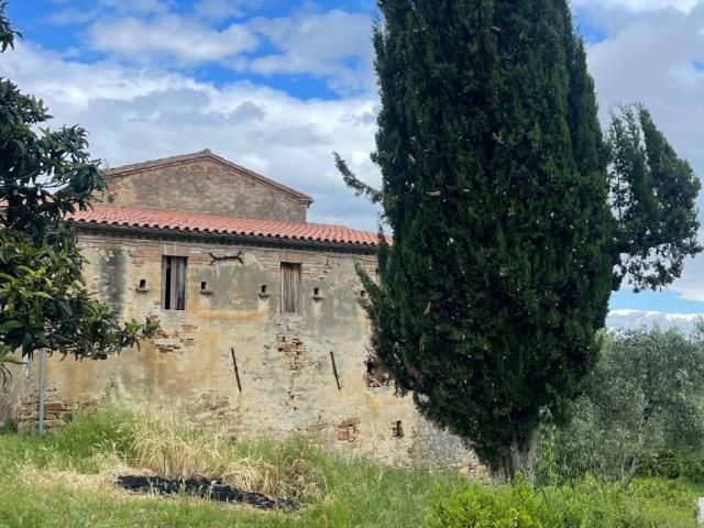 Rustico / Casale in vendita a Montedinove AP