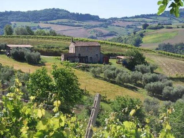 Rustico / Casale in vendita a Montefiore dell'Aso AP