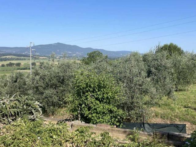 Rustico / Casale in vendita a Monteleone d'Orvieto TR