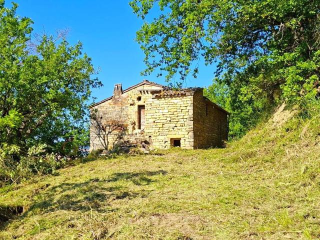 Rustico / Casale in vendita a Montelparo FM
