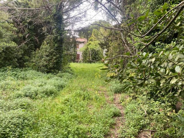 Rustico / Casale in vendita a Montelupone MC
