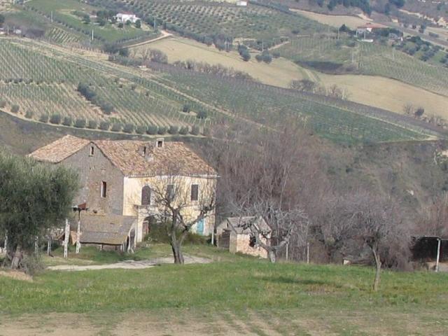Rustico / Casale in vendita a Monteprandone AP