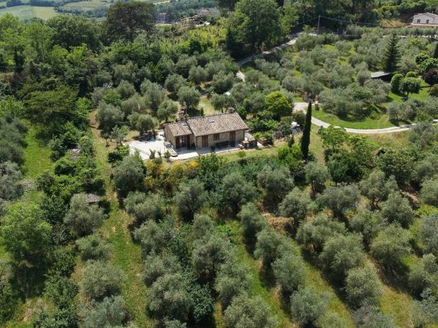 Rustico / Casale in vendita a Montepulciano SI