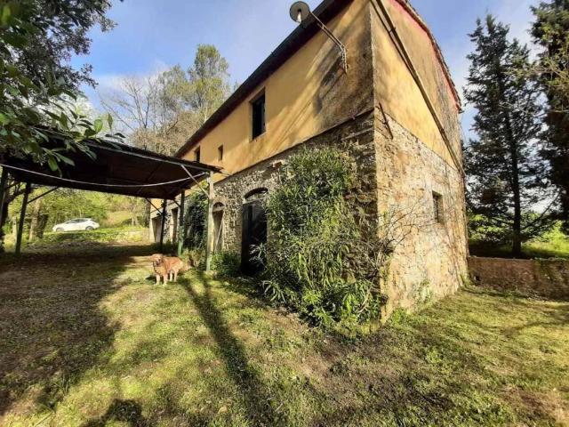 Rustico / Casale in vendita a Montescudaio PI