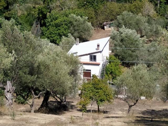 Rustico / Casale in vendita a Montesilvano PE