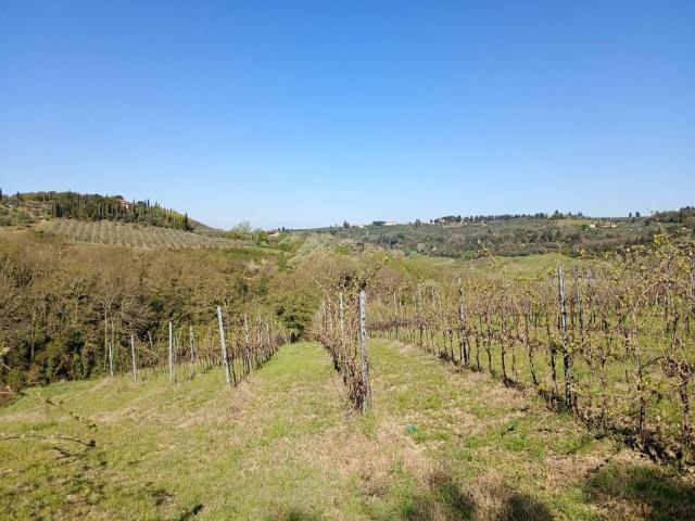 Rustico / Casale in vendita a Montespertoli FI
