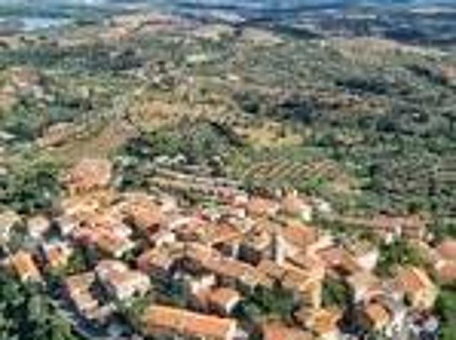 Rustico / Casale in vendita a Montiano FC