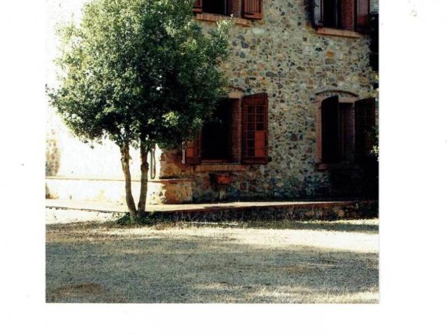 Rustico / Casale in vendita a Monticiano SI