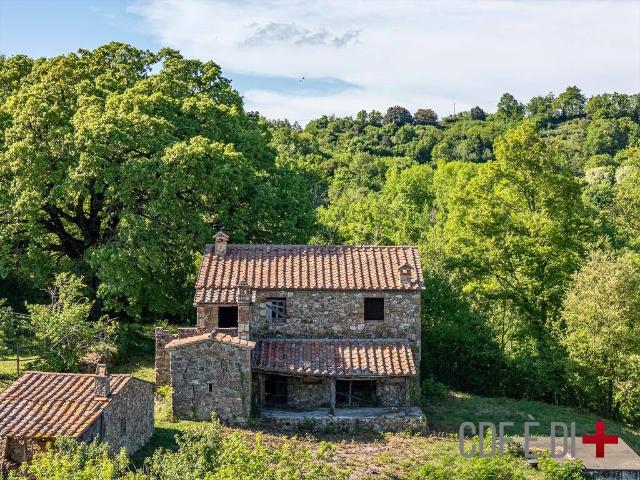 Rustico / Casale in vendita a Montieri GR