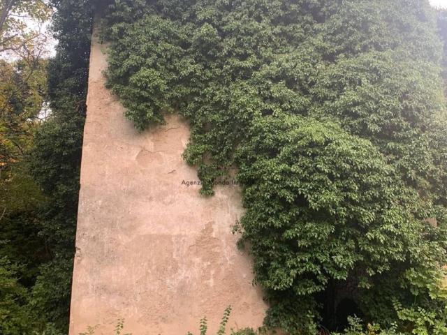Rustico / Casale in vendita a Madruzzo TN