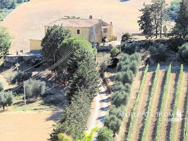 Rustico / Casale in vendita a Magliano in Toscana GR