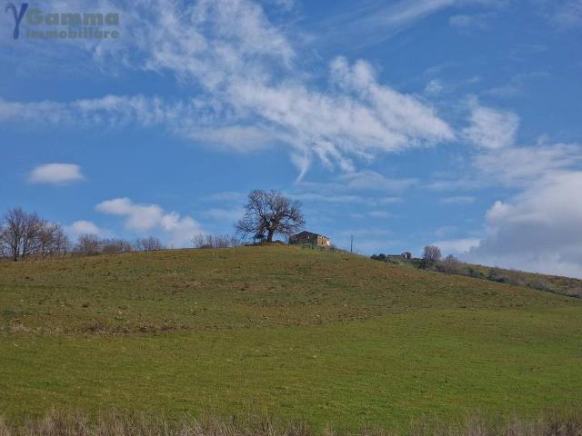 Rustico / Casale in vendita a Manciano GR