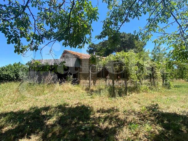 Rustico / Casale in vendita a Manziana RM