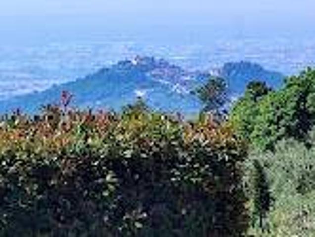 Rustico / Casale in vendita a Marliana PT