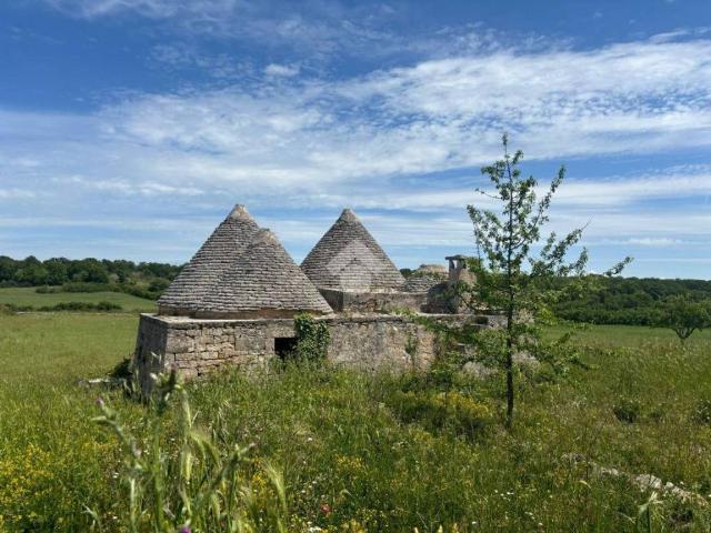 Rustico / Casale in vendita a Martina Franca TA