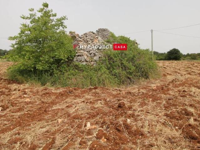 Rustico / Casale in vendita a Martina Franca TA