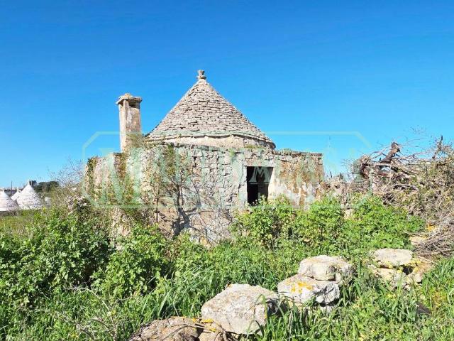 Rustico / Casale in vendita a Martina Franca TA
