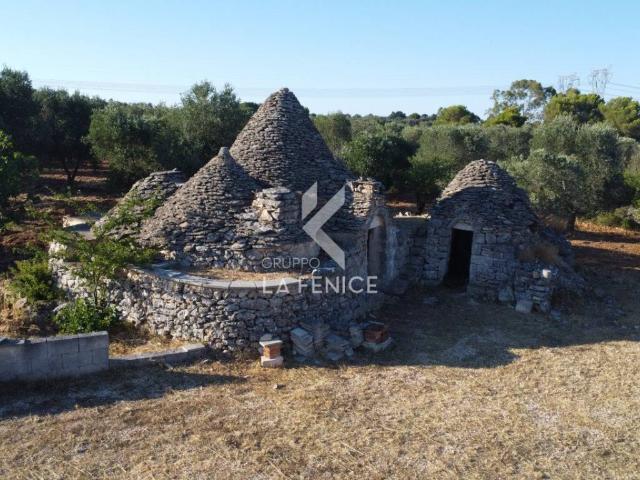 Rustico / Casale in vendita a Martina Franca TA