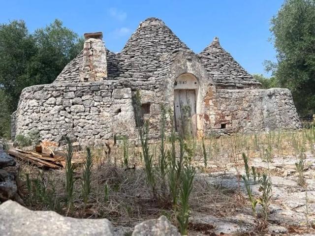 Rustico / Casale in vendita a Martina Franca TA