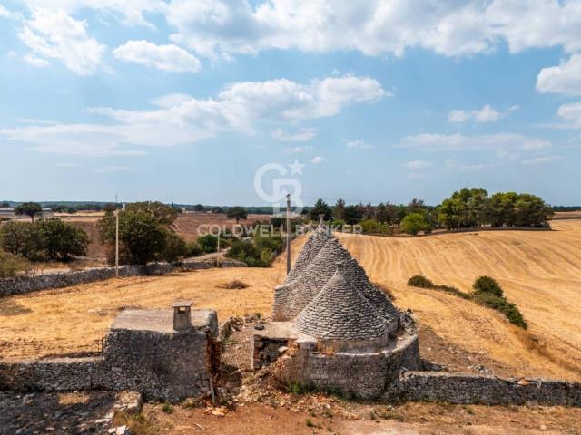 Rustico / Casale in vendita a Martina Franca TA