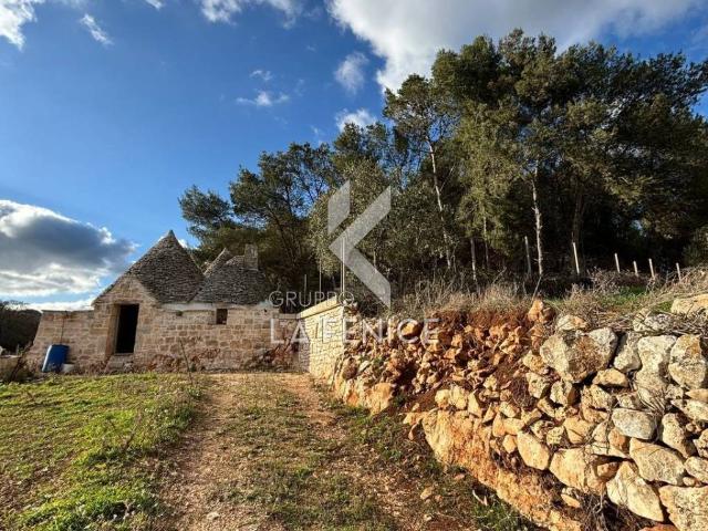 Rustico / Casale in vendita a Martina Franca TA