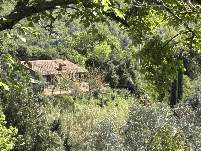 Rustico / Casale in vendita a Massa Marittima GR