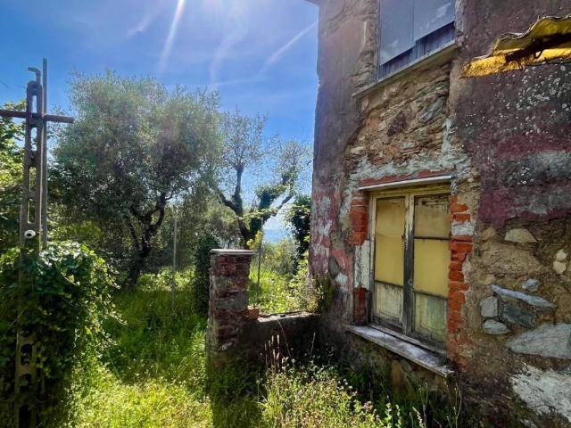 Rustico / Casale in vendita a Massa MS