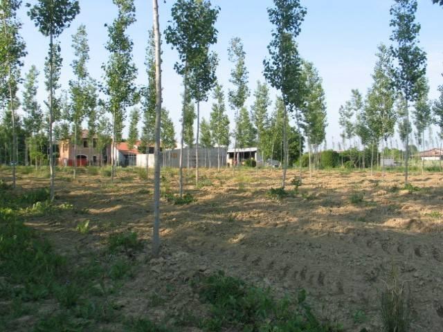 Rustico / Casale in vendita a Massanzago PD