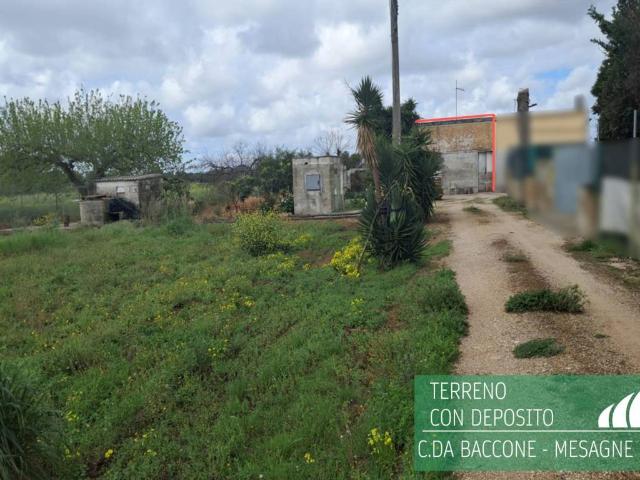 Rustico / Casale in vendita a Mesagne BR