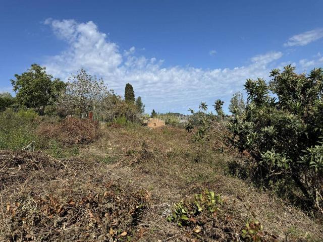 Rustico / Casale in vendita a Messina ME