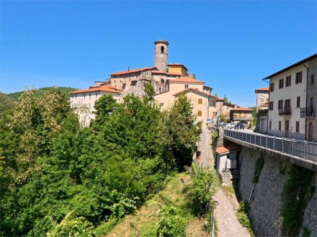 Rustico / Casale in vendita a Minucciano LU