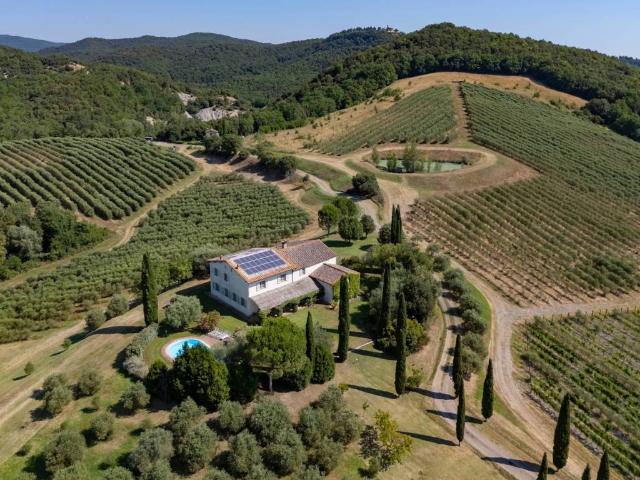 Rustico / Casale in vendita a Murlo SI