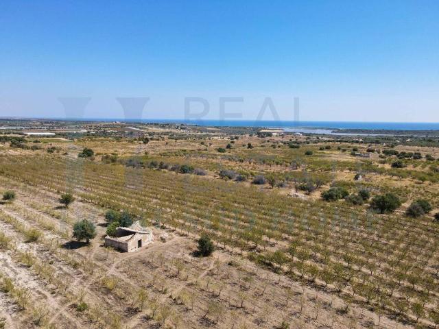 Rustico / Casale in vendita a Noto SR
