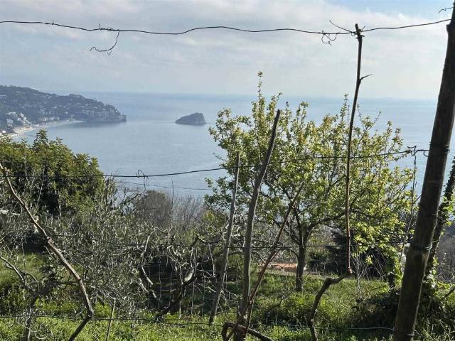 Rustico / Casale in vendita a Noli SV