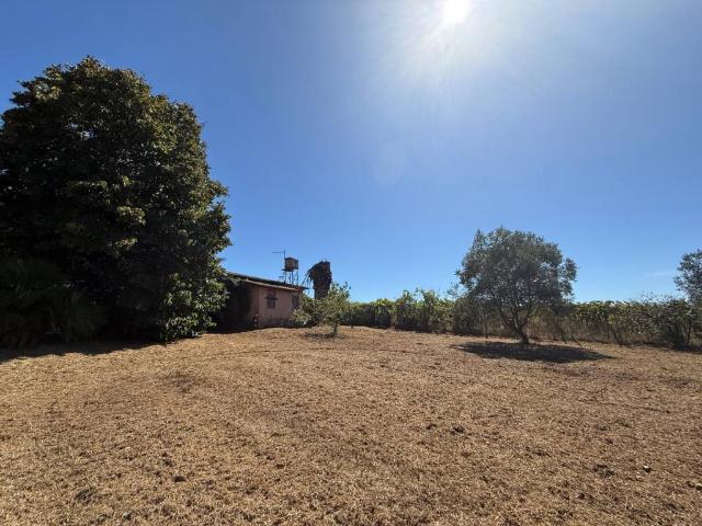 Rustico / Casale in vendita a Nettuno RM