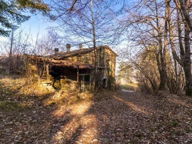 Rustico / Casale in vendita a Neviano degli Arduini PR