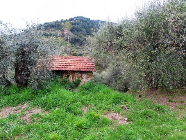 Rustico / Casale in vendita a Soldano IM